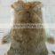 Factory direct supply Natural brown color Cheap Rabbit Skin