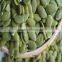 Palm kernel pumpkin seed kernels for oil