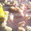 Durable Plastic Mesh Fabric