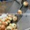 2016 new Onion peeler machine