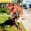 Adult animatronic life-size dinosaur costume
