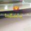 Wood Plastic Construction Formwork Machine/WPC Foam Board Machine