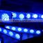 Promotion Blue And White Dimmable LED Aquarium Light For Saltwater Coral Reef Fish Tanks