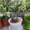 Different Size Wholesale Miniature Plant Pots With Tray