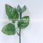 Non-Toxic Components Artificial Rose stem for Cholocate/Candy
