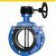 SUS304/316 Stainless Steel DN300 Butterfly Valve