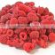 FD Dried Fruits-Frozen Dried raspberry whole with best price