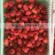 IQF Frozen raspberry whole with best price