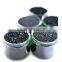 Activated carbon suppliers