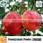 organic pomegranate p.e for pomegranate juice powder