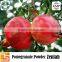 100% organic pomegranate seed powder for pomegranate fruit juice