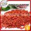USDA certificated organic dried goji berries ningxia wolfberry Chinese red goji on sale