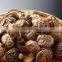 Detan Organic dried shiitake mushroom prices