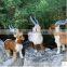 animals goat handmade christmas life size model sheep