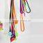 Fashion lanyard silicone universal lanyard