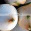 best selling high quality green coconut trimming machine/coconut peeling machine/coconut peeler