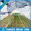 Plastic high quality agriculture anti insect net greenhouse  china