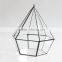 Si drilling short micro geometric glass flower pot landscape heagonal three hollow hanging glass greenhouse