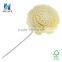 Rattan Stick & Sola Flower for Reed Diffuser