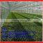 Fibreglass Reinfored Polyester panel sheet sunlight proof for agricultural vegetable greenhouse insulation lighting