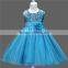 Sleeveless Paillette Kids Flower Girl Tutu Dresses