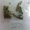 large single crystal synthetic diamond