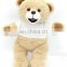 custom cute mini plush teddy bear with t shirt for sublimation for company sourvenirs