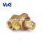 Valogin High-end Brass adjusting pressure reducing valve