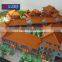 House plans building architectural models company