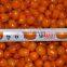 IQF Healthy Sea Buckthorn Frozen Berries