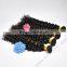 Most Beautiful High Quality Cheap Curly Human Hair Weaving