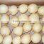 2015 new crop Chinese fresh Ya pear for export