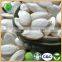 China snow white pumpkin seeds for wholesale