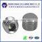 Dongguan Screw Factory DIN916 SUS Hex Socket Head Set Screw