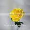 Cheap wholesale Beautiful Single Red Rose Flower