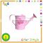 Mini metal watering can for kids,cheap garden tool metal watering can wholesale