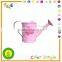 Mini metal watering can for kids,cheap garden tool metal watering can wholesale