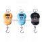 Fish Mini Weighing Length Scale With Hook