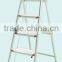 single straight ladder with en131