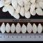 2016 New Crop Chinese Dried Snow White Pumpkin Seeds with Top Quality