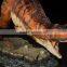 Jurassic Dinosaur Carnotaurus Toy Animals Figures customize simulation PVC model figures