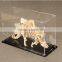 custom acrylic display toy plastic box