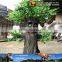 MY Dino-C052 Customized simulated tree sculptures for weddings
