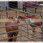 Free standing heavy duty cattle yard panels with gate