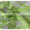 Chemical lace african green water soluble cord lace fabrics