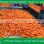 New Crop of Fresh Red Carrot from Farmland for sell
