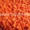 Frozen Vegetables IQF Carrot Diced