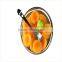 New Crop Canned Apricot Halves in Syrup at factory price