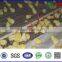 Chicken Broiler Equipments/ Poultry Automatic Feeding System/ Broiler Chicken Machine