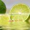 Citric Acid Anhydrous